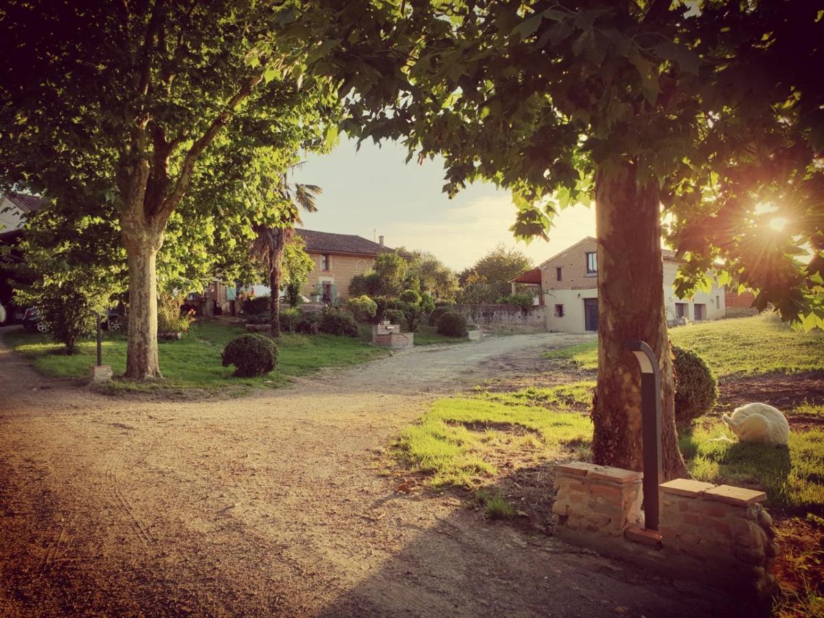 Domaine Des Jammetous - Hotel And Yoga Retreat Center La Magdelaine-Sur-Tarn Buitenkant foto