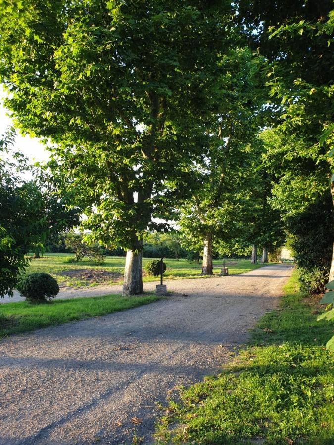 Domaine Des Jammetous - Hotel And Yoga Retreat Center La Magdelaine-Sur-Tarn Buitenkant foto